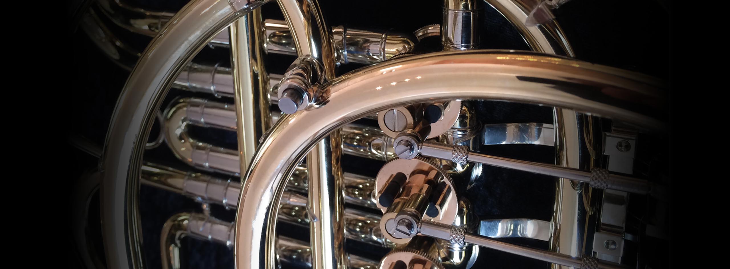 Triple Horn