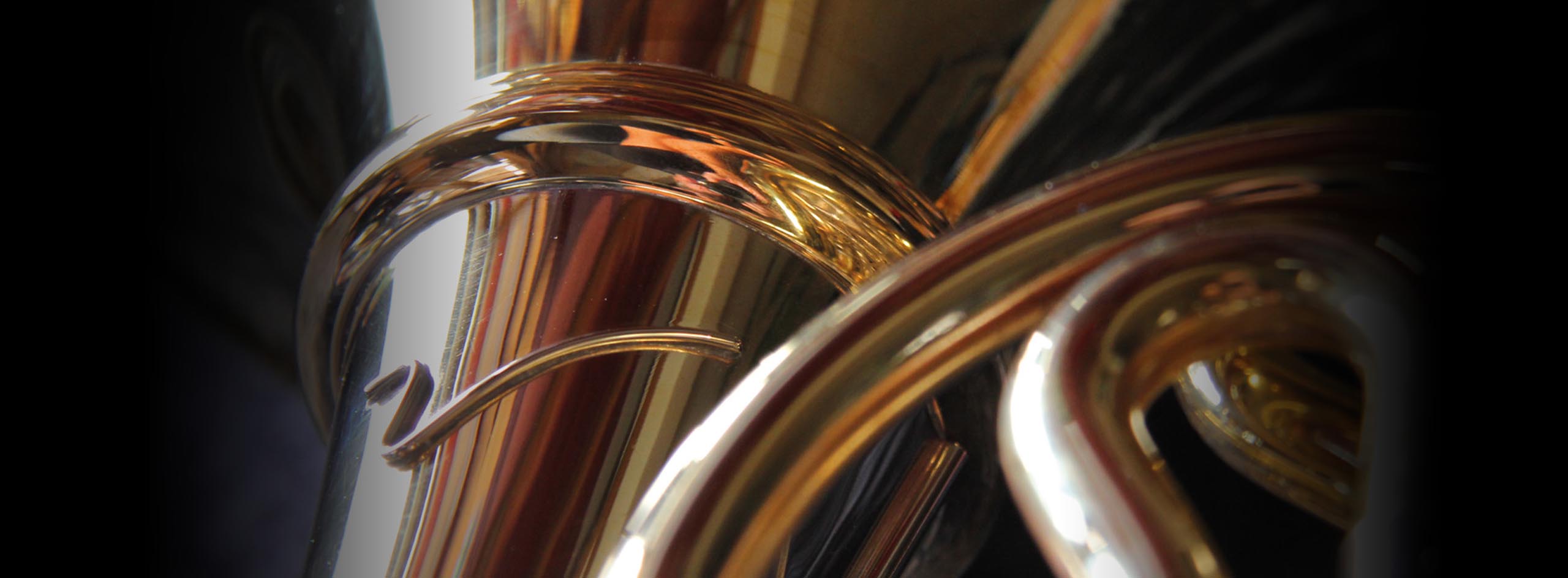 Single Horn Valkenburg