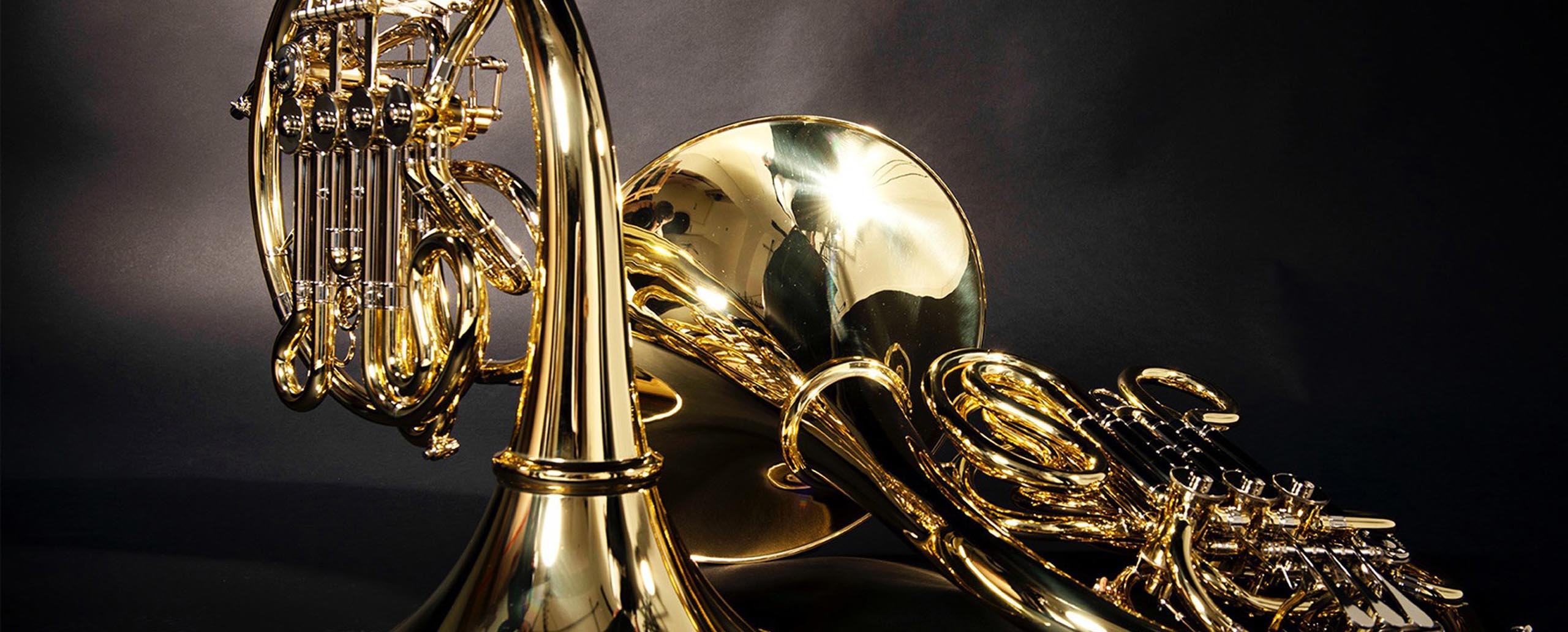 Klaus Fehr French Double Horn Model 3